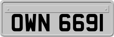 OWN6691