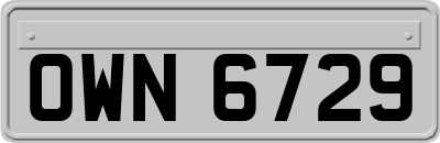 OWN6729