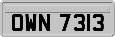 OWN7313