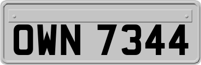 OWN7344