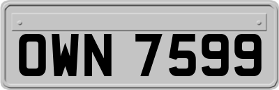 OWN7599