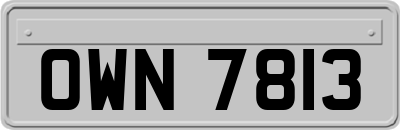 OWN7813