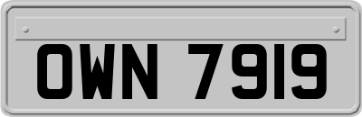 OWN7919