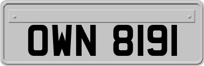 OWN8191