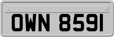 OWN8591