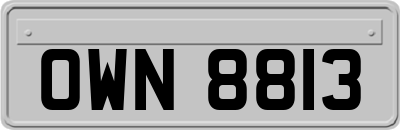 OWN8813