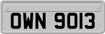 OWN9013
