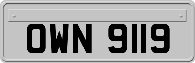OWN9119
