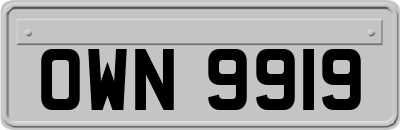 OWN9919