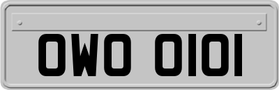 OWO0101