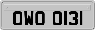 OWO0131