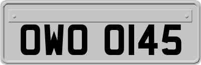 OWO0145