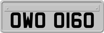 OWO0160