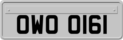 OWO0161