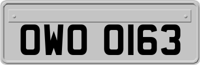 OWO0163
