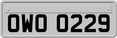 OWO0229