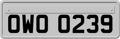 OWO0239
