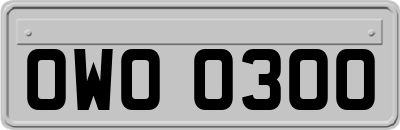 OWO0300