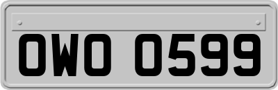 OWO0599