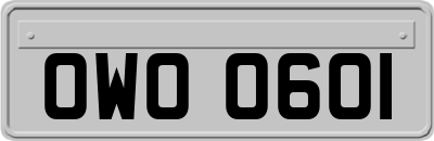 OWO0601