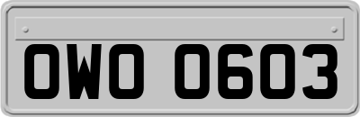OWO0603