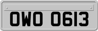 OWO0613