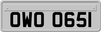 OWO0651