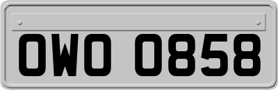 OWO0858