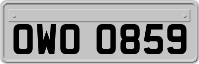 OWO0859