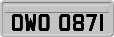 OWO0871