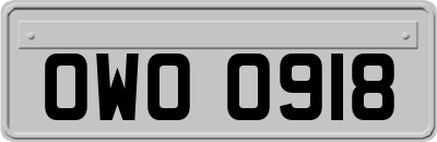 OWO0918
