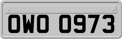 OWO0973