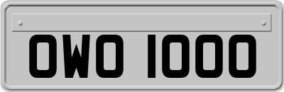 OWO1000