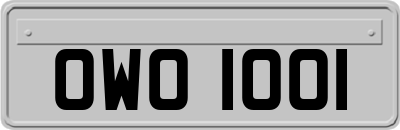 OWO1001