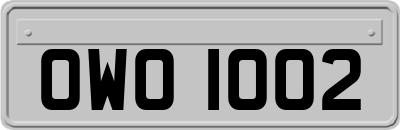 OWO1002