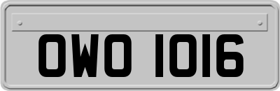 OWO1016
