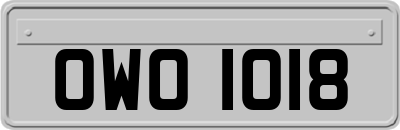 OWO1018