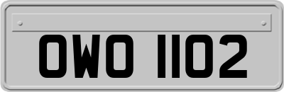 OWO1102