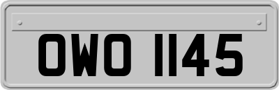OWO1145