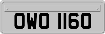 OWO1160