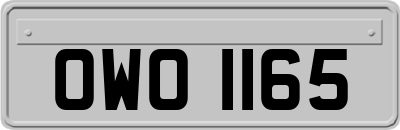 OWO1165