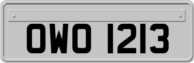 OWO1213