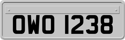 OWO1238