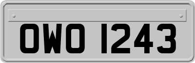 OWO1243