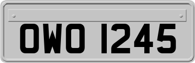 OWO1245