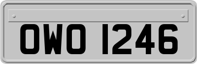 OWO1246