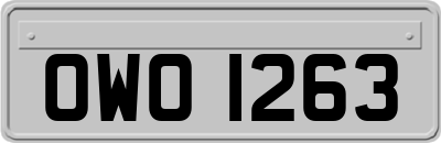 OWO1263
