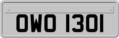 OWO1301