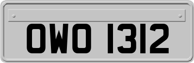 OWO1312