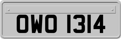 OWO1314
